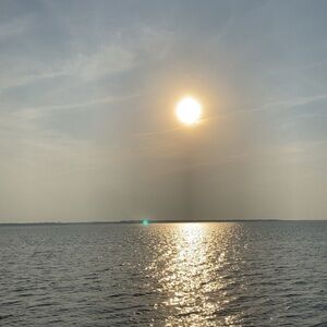 Meet your Posher, Gabby